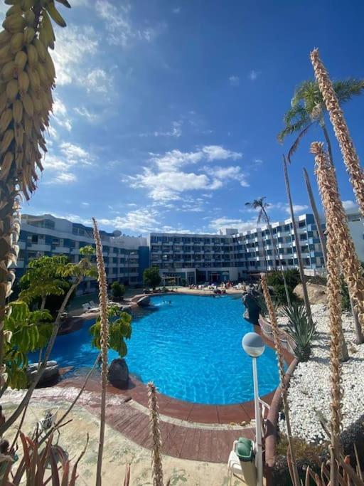 Apartamento Golf Del Sur Σαν Μιγκέλ ντε Αμπόνα Εξωτερικό φωτογραφία